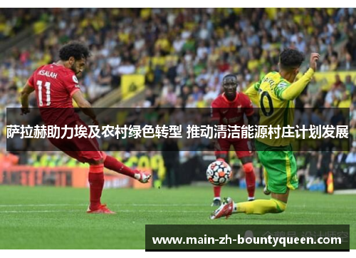 萨拉赫助力埃及农村绿色转型 推动清洁能源村庄计划发展