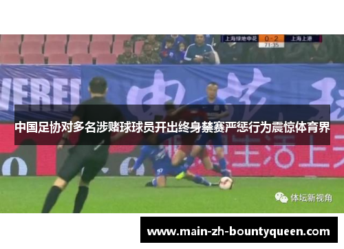 中国足协对多名涉赌球球员开出终身禁赛严惩行为震惊体育界